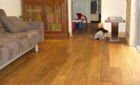 Austimber Floors - quality floor sanding and polishing Northern Beaches, floor coatings and staining, wooden floorboards installation. We GUARANTEE and WARRANTY our work, 20 years experience in the industry and great customer service